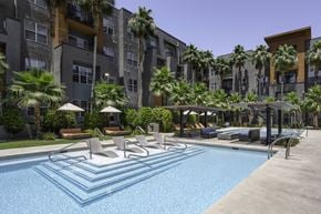 Las Vegas apartment for rent - A swimming pool surrounded by lounge chairs and palm trees.