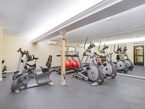 Los Gatos apartment for rent - One-Bedroom Apartments in Los Gatos, CA - El Gato Penthouse - Fitness Center With Cardio Machines, Strength Equipment, Mirrored Wall, Exercise Balls, And Open Workout Space.