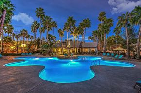 Las Vegas apartment for rent - A large swimming pool surrounded by palm trees and lounge chairs.