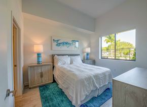 Miami apartment for rent - Bright bedroom with queen bed, blue rug, and palm tree view.