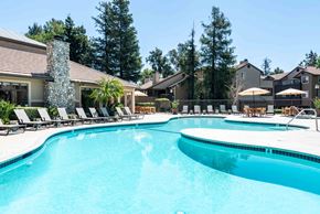 Rancho Cucamonga apartment for rent - A large swimming pool with a stone pillar and a row of sun loungers.