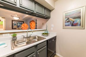 San Antonio apartment for rent - a kitchen with a sink and a counter top