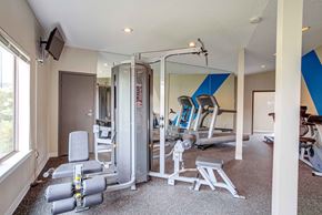 Hermantown apartment for rent - a gym with weights and cardio equipment in a home gym
