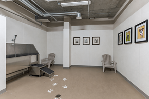 Stamford apartment for rent - A room with a dog paw print on the floor and a dog kennel.