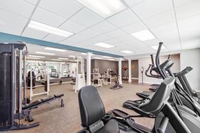 Stockbridge apartment for rent - St. Ives Crossing apartments in Stockbridge Georgia photo of fitness center