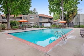 Hayward apartment for rent - Apartments in Hayward, CA - Glen Oaks Apartments - Swimming Pool With Brick Coping, Patio Seating With Orange Umbrellas, and Mature Trees Surrounding The Community.