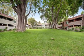Hayward apartment for rent - Pet-Friendly Apartments in Hayward, CA - Glen Oaks Apartments - Landscaped Courtyard Lawn With Large Shade Trees, Green Grass, and Two-Story Apartment Buildings Framing Open Outdoor Space.