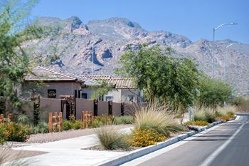 Beautifully landscaped walking paths