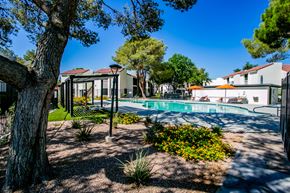 Las Vegas apartment for rent - Las Vegas, NV, Apartments Near Sant Fe Station Hotel - Haven at Lone Mountain - Outdoor Resort Style Pool With Lounge Chairs, Orange Umbrellas, And Pergola Seating.