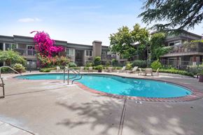 Santa Clara apartment for rent - 1-Bedroom Apartments in Santa Clara, CA - Hidden Lake - Swimming Pool with Lounge Seats, Tables, Chairs, and Surrounding Plants and Trees.
