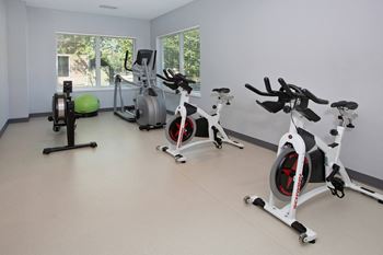 Fully equipped fitness center