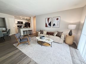 Greensboro apartment for rent - A living room with a grey rug and a white couch.