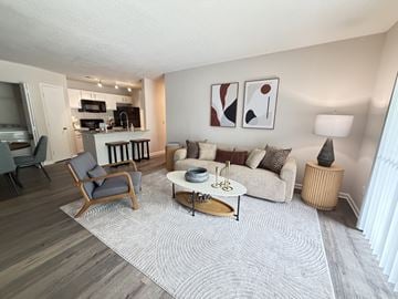 Greensboro apartment for rent - A living room with a grey rug and a white couch.