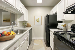 Aurora apartment for rent - A kitchen with a black refrigerator and white cabinets.