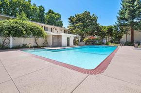 San Jose apartment for rent - Apartments for Rent in San Jose CA - Los Gatos Creek - Pool with Poolside Restrooms Surrounded by Lush Landscaping