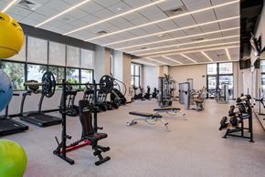 Miami apartment for rent - Apartments Miami FL - MB Station Fitness Center With Weight Machines, Free Weights, and Cardio Machines