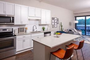 Edina apartment for rent - a kitchen with a white counter top