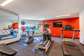 Coon Rapids apartment for rent - a gym with exercise equipment and a view of the city