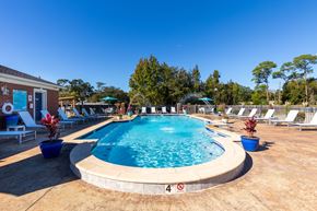Biloxi apartment for rent - A swimming pool surrounded by lounge chairs and trees.