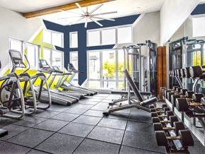 Seattle apartment for rent - Apartments In Seattle, WA With In-Unit Washer And Dryer - Origin - 24-Hour State-of-the-Art Fitness Center With Cardio Machines, Strength Training Equipment, Free Weights, Workout Bench, Ceiling Fan, Mirror Wall, And Floor-to-Ceiling Windows.