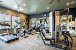 Rogers apartment for rent - Apartments for Rent in Rogers, AR 72758– Parc at Rogers-   gym with lifting and cardio equipment with a big mirror and windows