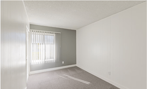 El Cajon apartment for rent - One-Bedroom Apartments in El Cajon, CA - Ivanhoe Village - Carpeted Bedroom with a Grey Accent Wall, and a Large Window.