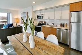 Seattle apartment for rent - stainless steel appliances