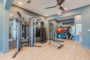 Norcross apartment for rent - A gym with a variety of equipment including a squat rack, bench, and weights.
