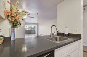 Daly City apartment for rent - One-Bedroom Apartments in Daly City, CA - Serra Commons - Modern Kitchen With Sleek Countertop, Stainless Steel Sink, White Cabinetry, And Open Living Area With Patio Door.