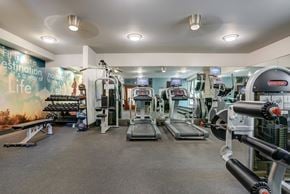 Belmont apartment for rent - A gym with treadmills, weights, and exercise machines.