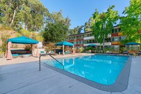 Belmont apartment for rent - A swimming pool surrounded by trees and umbrellas.