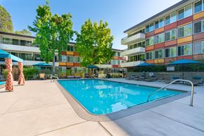 Belmont apartment for rent - A swimming pool surrounded by trees and chairs with a building in the background.
