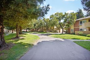 Fremont apartment for rent - Apartments Near Lake Elizabeth - Lincoln Glen - An exterior shot of a tree-lined street between two apartment buildings with trees