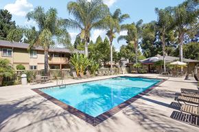 Fremont apartment for rent - Apartments Near Fremont Central Park - Lincoln Glen - An exterior shot of the resort-style pool, featuring palm trees, umbrellas, and pool chairs