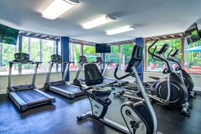 Marietta apartment for rent - Fully equipped on-site fitness center featuring treadmills, ellipticals, strength machines, and free weights—offering Marietta renters a convenient alternative to a gym membership.