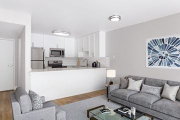 Alameda apartment for rent - A modern living room with a grey couch and a coffee table.
