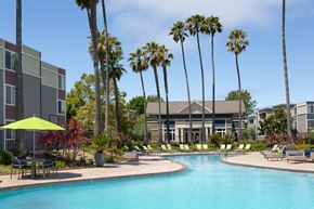 Alameda apartment for rent - A pool surrounded by palm trees and lounge chairs.