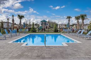 Kissimmee townhouse for rent - A large swimming pool surrounded by lounge chairs and palm trees.