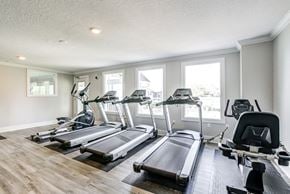 Tampa apartment for rent - Equipped fitness center at The Commons, a pet-friendly community in Tampa, FL, near Temple Terrace, featuring modern workout equipment.
