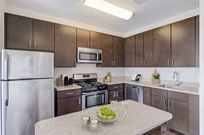 Stamford apartment for rent - kitchen with stainless steel appliances