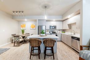 Santa Rosa Beach apartment for rent - Modern apartment kitchen with stainless steel appliances, quartz countertops, and spacious island at The Sanctuary at 331 in Santa Rosa Beach, FL