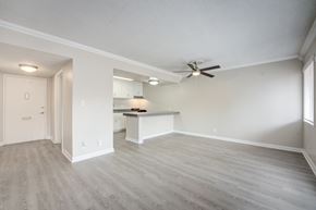 Carlsbad apartment for rent - A spacious room with a ceiling fan and lighting fixtures.