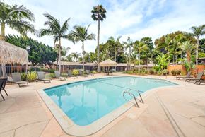 Carlsbad apartment for rent - Pet-Friendly Apartments in Carlsbad, CA - The Village Apartments - Outdoor Swimming Pool With Lounge Chairs, Palm Trees, Thatched Shade Huts, And Surrounding Apartment Buildings.