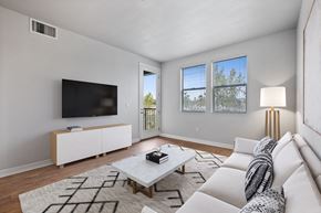 Petaluma apartment for rent - a living room with a white couch and a tv