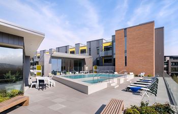 Rooftop heated pool, hot tub and gas fire pit