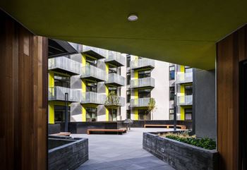 Community courtyard with gas fire pits and bbq grills