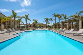 Ventura apartment for rent - 1-Bedroom Apartments In Ventura, Ca -Vanoni Ranch - A Large, Bright Blue Swimming Pool Surrounded By Tan Lounge Chairs And Tall Palm Trees Under A Clear Sky.