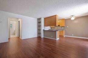 San Jose apartment for rent - One-Bedroom Apartments in San Jose, CA - Village of Taxco - Open Living And Dining Area With Wood Look Flooring, Breakfast Bar, Warm Wood Cabinetry, And Ceiling Fan.