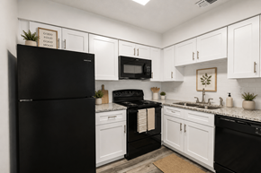 Orlando apartment for rent - A black refrigerator sits next to a black stove in a kitchen with white cabinets.