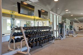 Scottsdale apartment for rent - South Scottsdale, AZ, Apartments - Lucent Scottsdale - Athletic Club with Cardio and Strength Training Equipment, Free Weights, Mounted TV, Light Fixtures, and Large Windows.